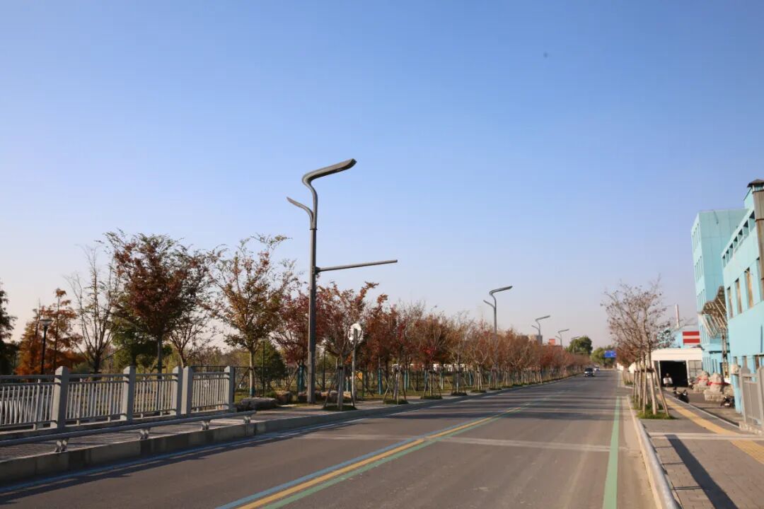 Love Blooms in Dongtai | Fengfeng Road, Dongtai, Jiangsu Love Blooms in Dongtai | Fengfeng Road, Dongtai, Jiangsu