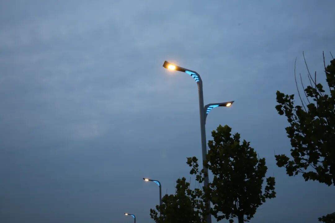 Street Light With Led
