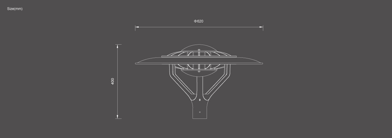 Backyard Outdoor Lights