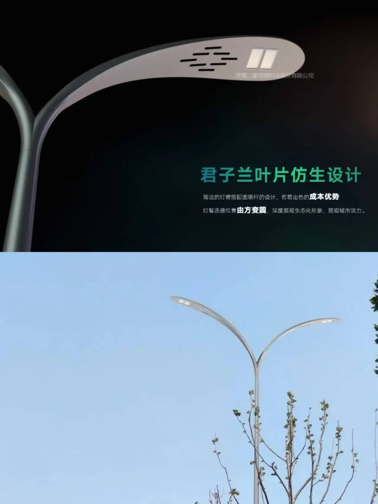 مشاركة حالة التجديد الحضري: طريق Wanxing، Dongying، Shandong