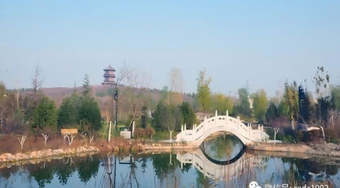 Dongshan Park Landscape Lighting Project | Smart Solar Garden Light Application Case