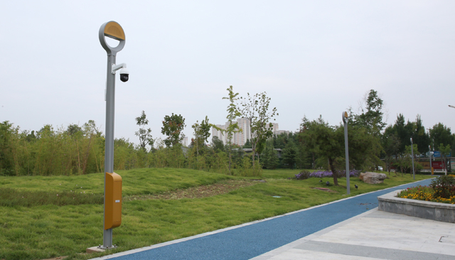 Best Outdoor Smart Lights