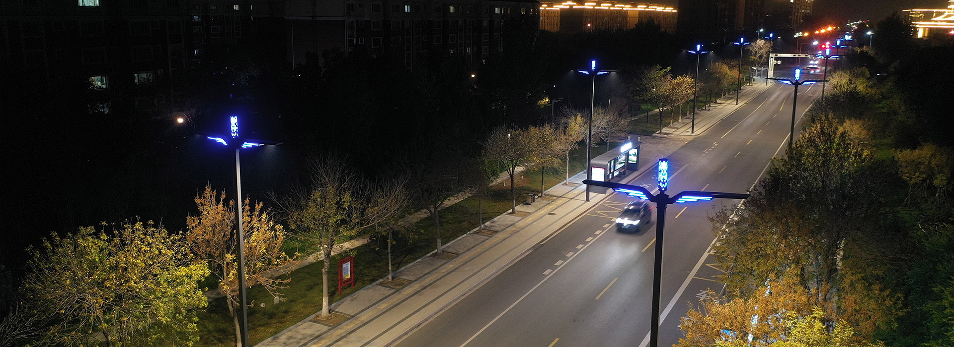 Landscape Street Light