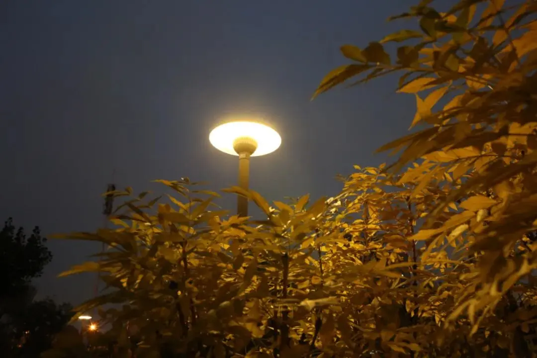 Solar IoT Low-Carbon Lighting – Tianjin Marine Science Park Binhai Landscape