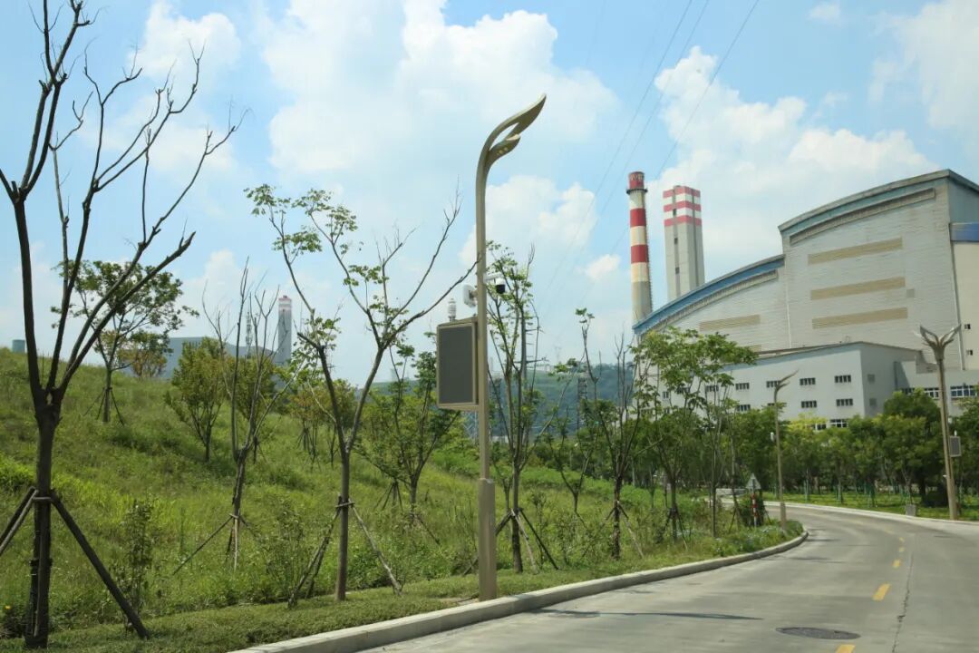 Led Pole Lights Panlabas