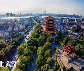 옥외조명 업그레이드 프로젝트 | 우한 Youyi Avenue 일류 고속도로 개조