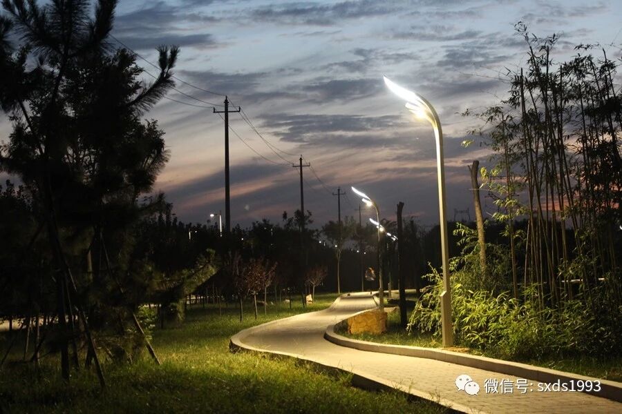 Mga Ilaw sa Poste ng LED sa Labas Mga Ilaw sa Poste ng LED sa Labas