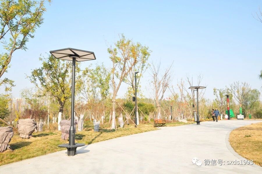 Solar Lamps Outdoor Solar Lamps Outdoor