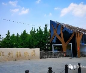 Proyekto ng Pag-iilaw ng Tanawin ng Hardin ng Halaman ng Zhengzhou | Sanxing Lighting