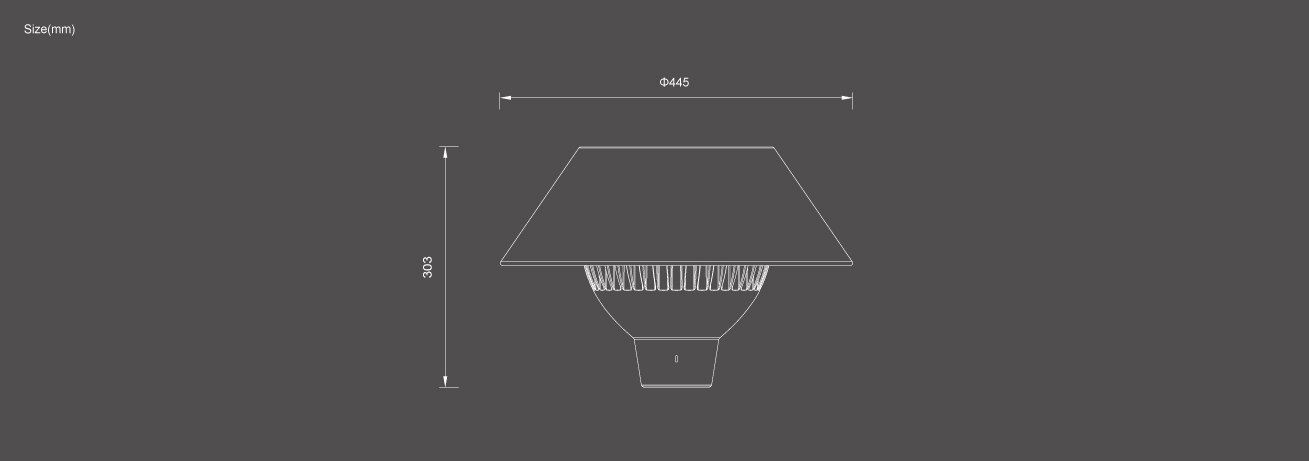 Outdoor Electric Lights