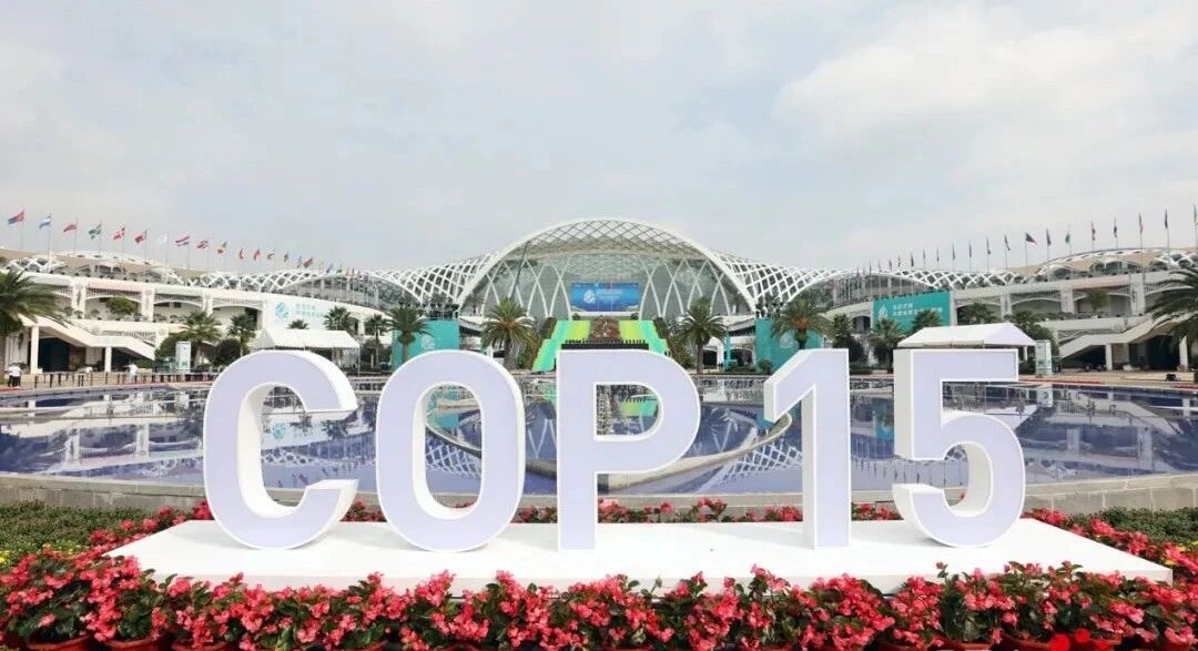 Куньмин сулы-батпақты саябағына арналған тірек шамдары және жарықдиодты көше жарығы