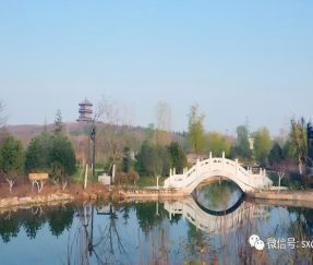 Dongshan Park Landscape Lighting Project | Smart Solar Garden Light Application Case