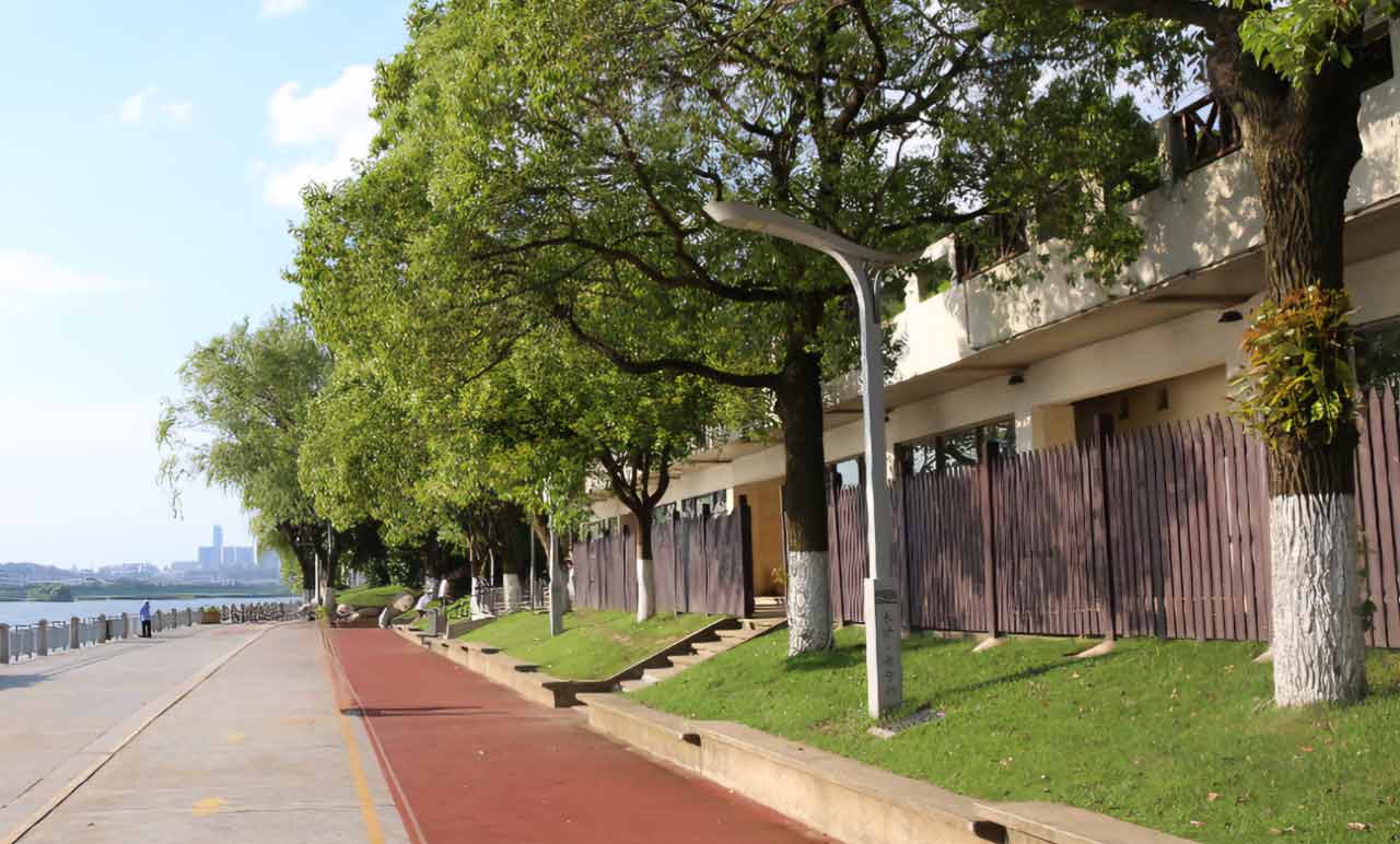 Double Ninth Festival: Recalling Red Culture sa Juzizhou Island, Changsha