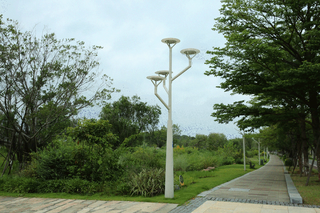 일대일로의 문화적 빛: 취안저우 해상 실크로드 생태공원