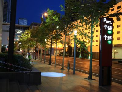 Nini cha Kuzingatia Unaponunua Taa za Bustani za Mazingira kwa Miradi ya Biashara