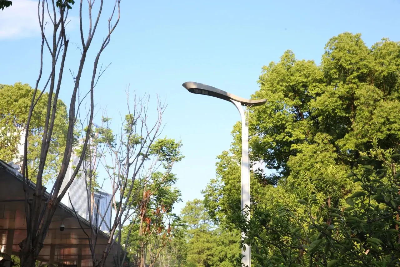 Double Ninth Festival: Recalling Red Culture sa Juzizhou Island, Changsha