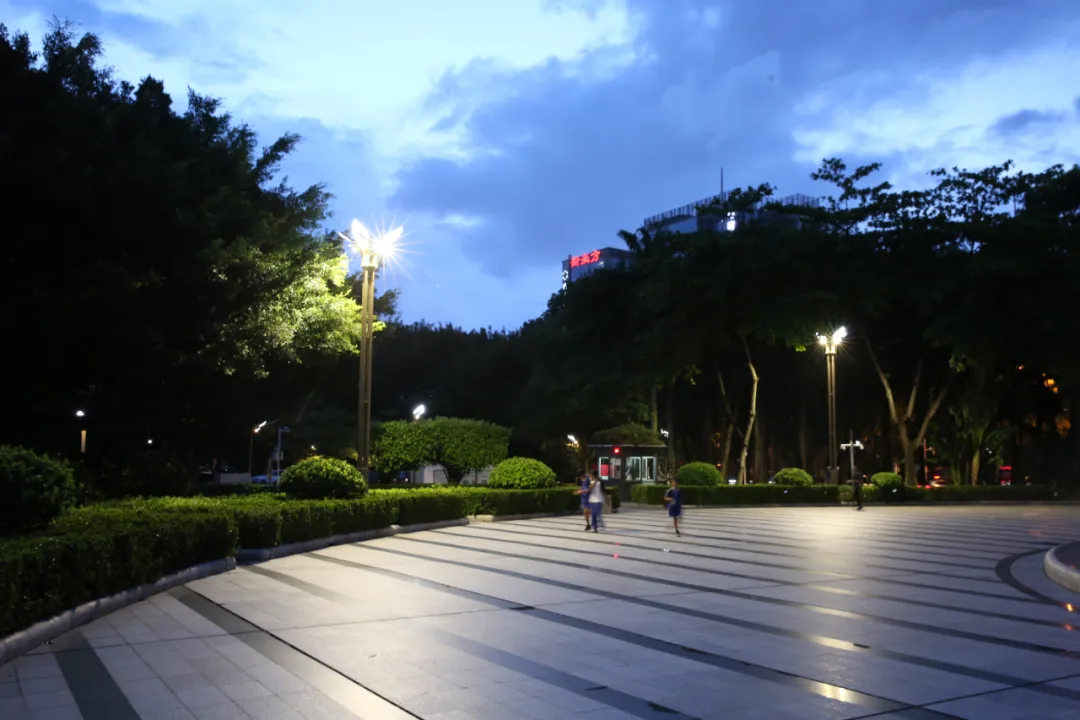 La luz baña el verde césped, las farolas acompañan el tranquilo sendero • Una experiencia inmersiva del sistema de movilidad urbana lenta | Parque Lixiang de Shenzhen