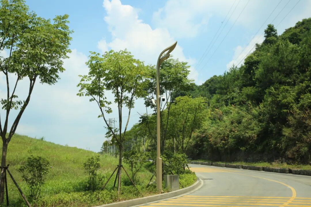 Led Pole Lights Panlabas