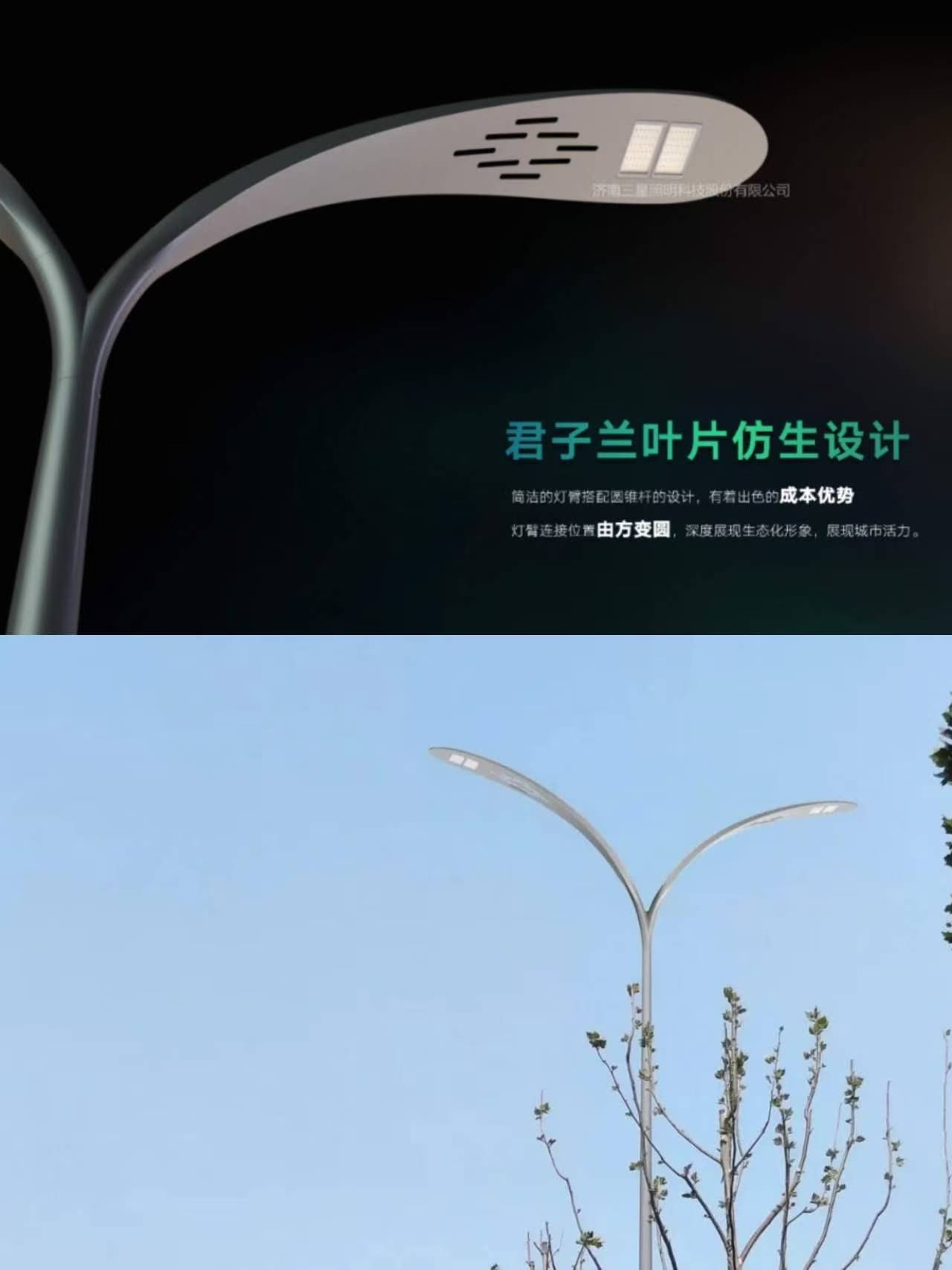 Urban Renewal Case Sharing: Wanxing Road, Dongying, Shandong