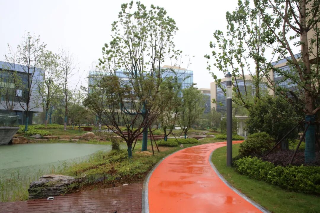 Применение интеллектуальных многофункциональных столбов освещения Sanxing в высокотехнологичном парке мирового класса | Хэфэй Чжунъань Чуангу