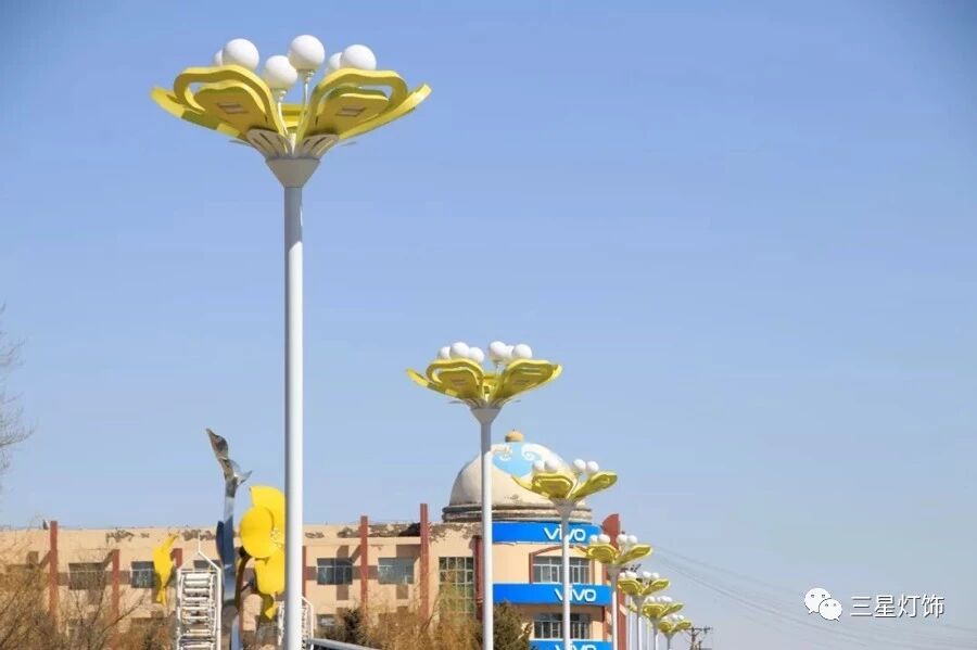 Half-Day Flower Style Street Light Half-Day Flower Style Street Light