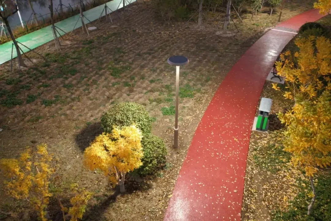 Solar IoT Low-Carbon Lighting – Tianjin Marine Science Park Binhai Landscape