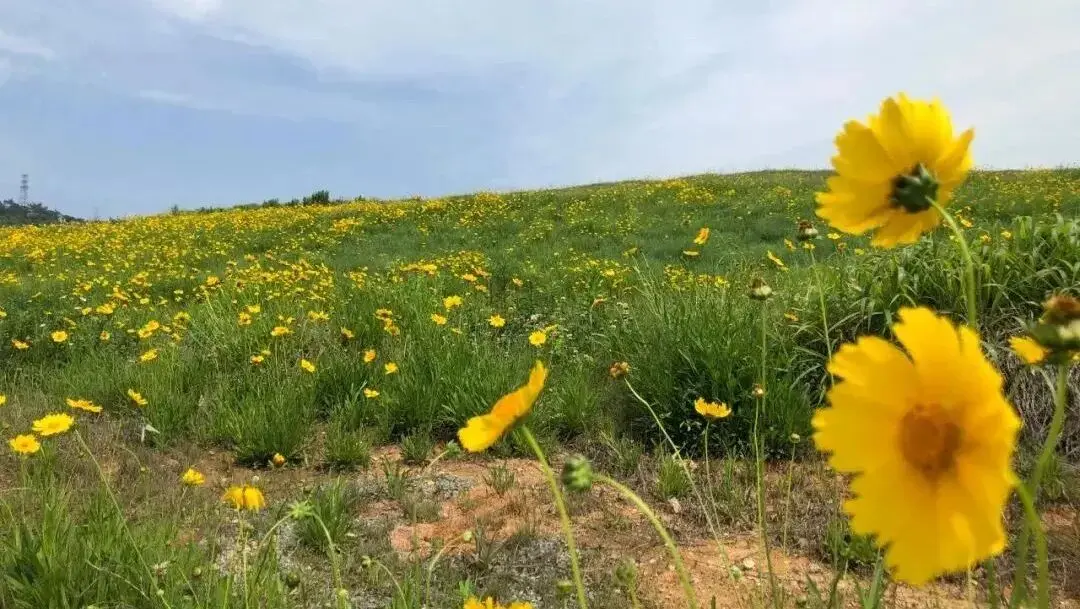 مجمع فوتشو هونغمياولينغ الصناعي البيئي للاقتصاد الدائري