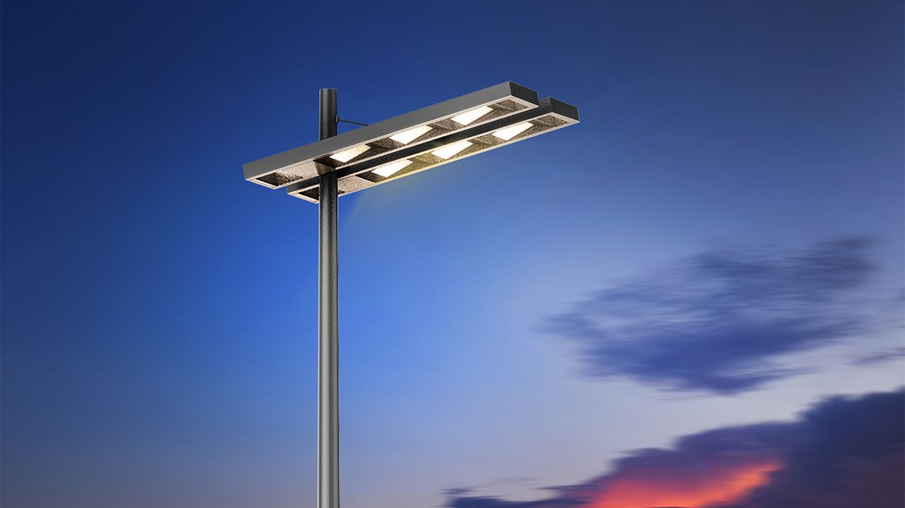 Жоғары діңгек полюсі