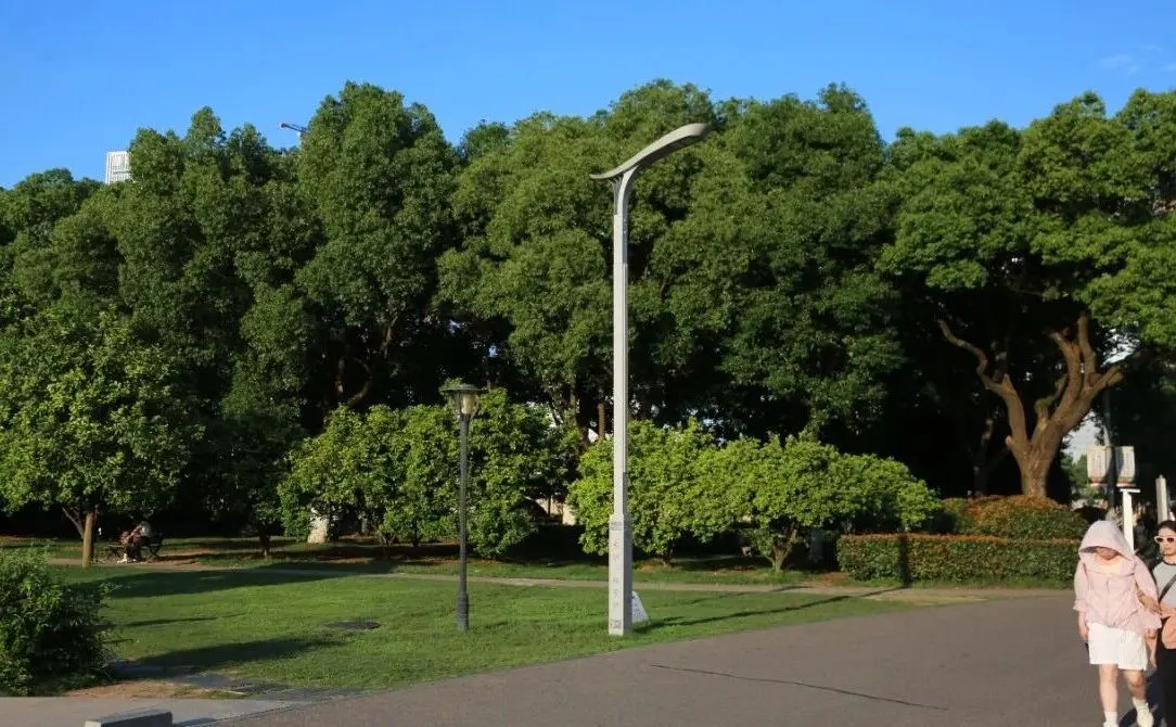 Double Ninth Festival: Recalling Red Culture sa Juzizhou Island, Changsha