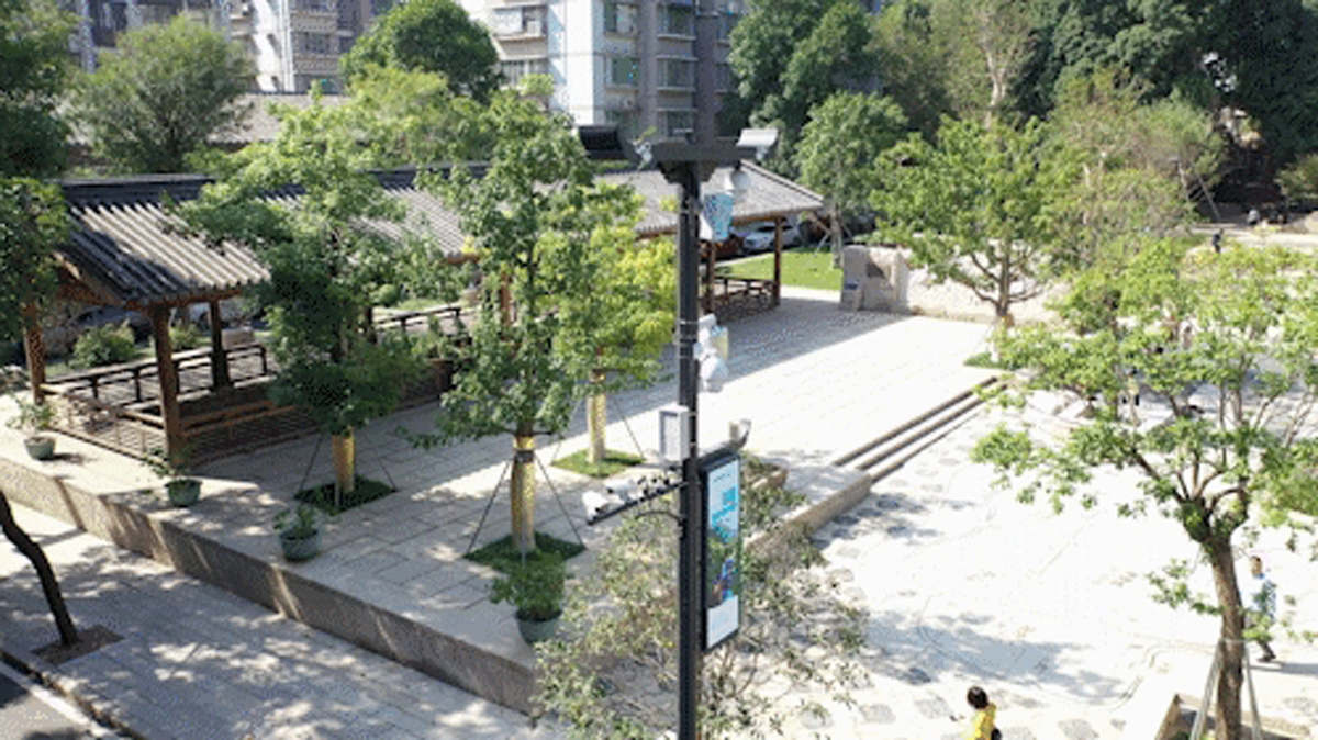 Sanxing Lighting Smart Poles: Revolutionizing Fuzhou’s Urban Streets & Parks