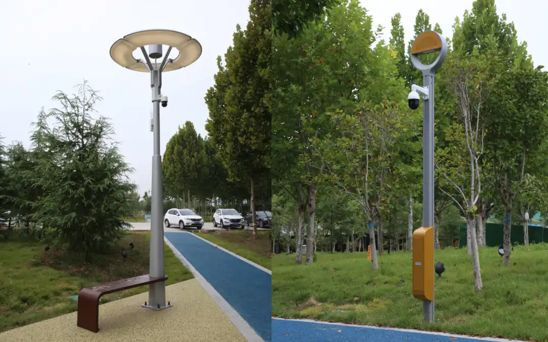 Aplicación de luces inteligentes para jardines paisajísticos en parques verdes urbanos | Parque inteligente China Road, Liaocheng, Shandong Aplicación de luces inteligentes para jardines paisajísticos en parques verdes urbanos | Parque inteligente China Road, Liaocheng, Shandong