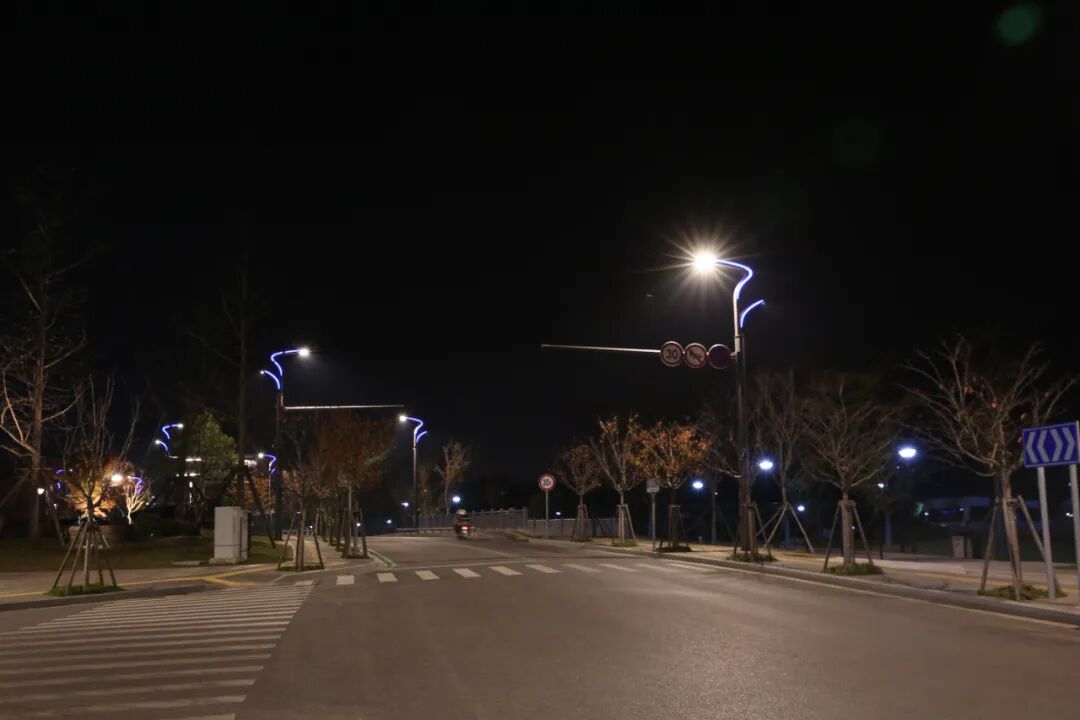 Love Blooms in Dongtai | Fengfeng Road, Dongtai, Jiangsu Love Blooms in Dongtai | Fengfeng Road, Dongtai, Jiangsu