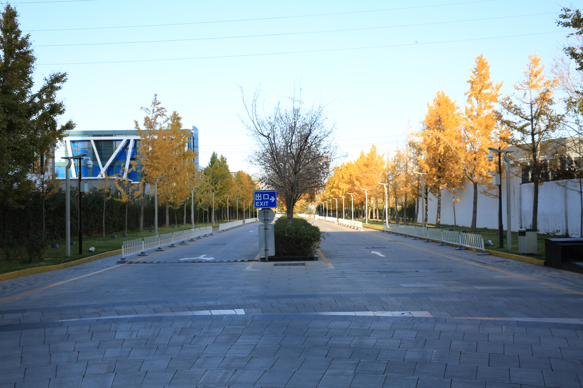 상업용 조경등 구매 시 고려 사항 상업용 조경등 구매 시 고려 사항