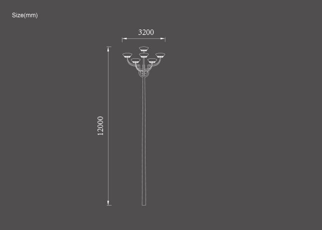 أول ضوء الشارع