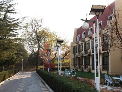 El alumbrado público inteligente y la iluminación solar contribuyen a alcanzar los objetivos globales de neutralidad de carbono.