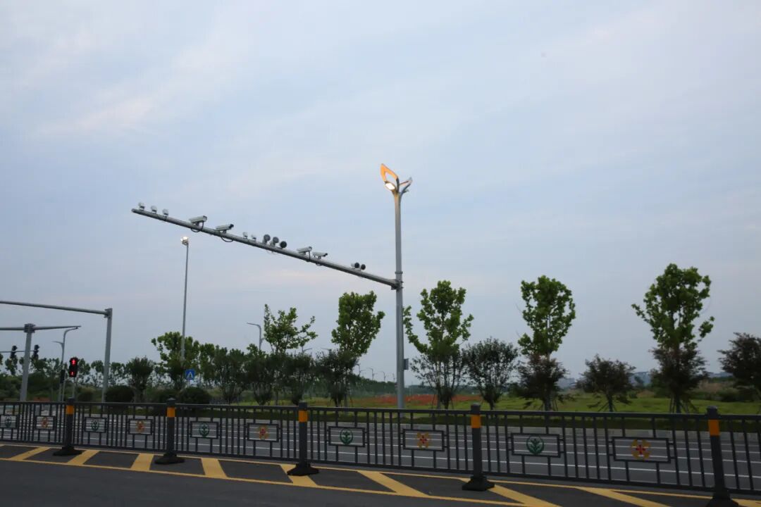 Led Pole Lights Outdoor