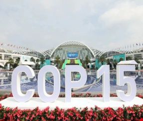 Куньмин сулы-батпақты саябағына арналған тірек шамдары және жарықдиодты көше жарығы