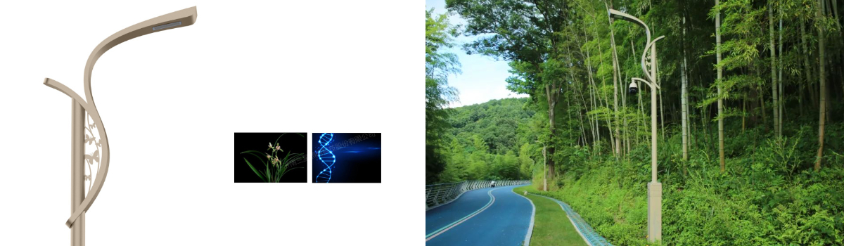 Dự án chiếu sáng cảnh quan Khu du lịch sinh thái Zhoushan Dinghai Wushan (Đường đi bộ xanh công viên Wushan)