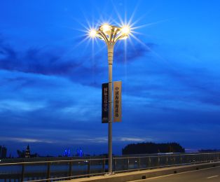 Landscape Street Light