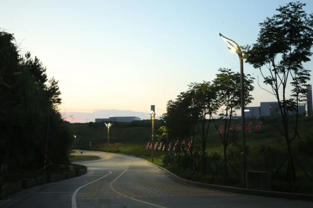 Led Pole Lights Panlabas