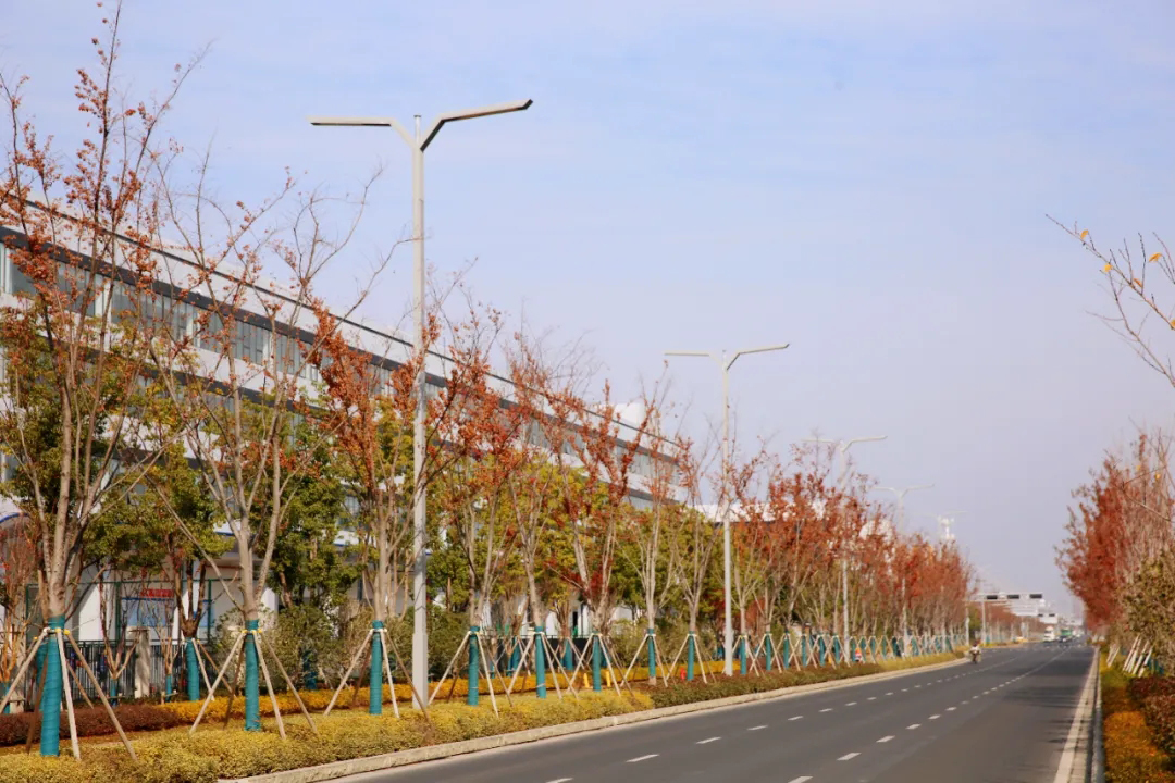 스마트한 빛줄기를 엮어 자산의 새로운 비전을 밝히다 | 중신 자산 현대 산업 단지