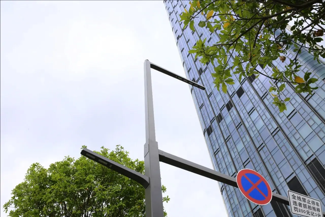 Городские районы высокой плотности застройки и экологичное строительство • «Решение SanXing» для городского освещения | Улица Дэнлян (RBD), район Наньшань, Шэньчжэнь