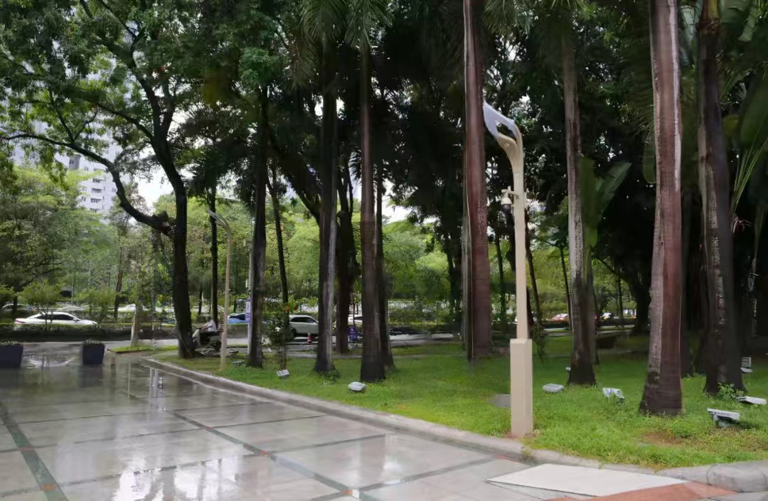 La luz baña el verde césped y las lámparas acompañan el tranquilo sendero • Una experiencia inmersiva del sistema urbano de movilidad lenta | Parque Shenzhen Lixiang