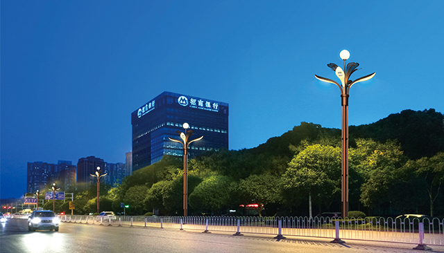 Outside Street Lights