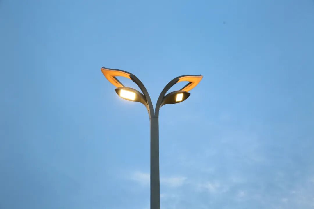 Led Pole Lights Outdoor