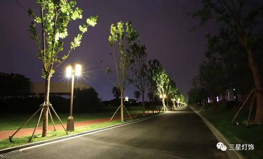 Landscape Garden Lights