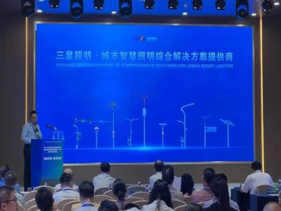 Lumalahok ang Sanxing Lighting sa 20th China International Engineering Procurement Alliance Supply-Demand Cooperation Summit
