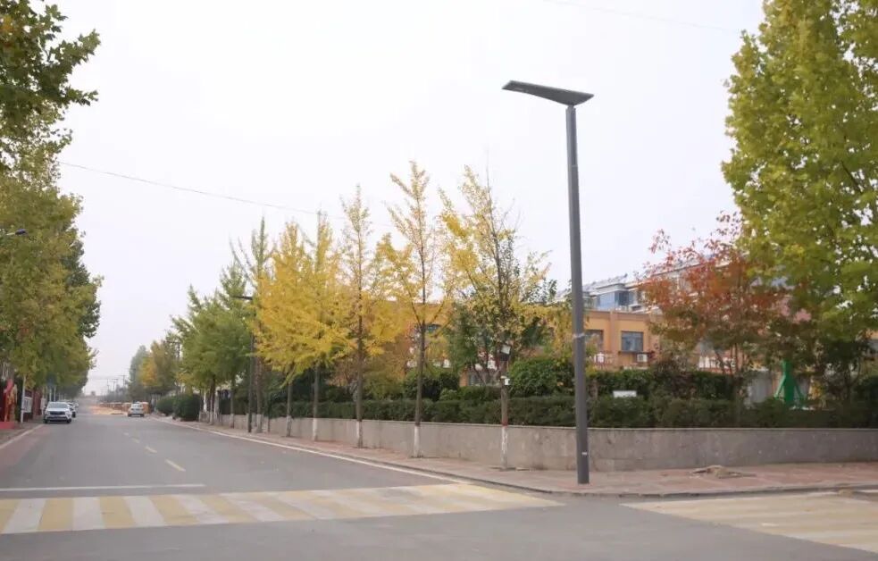 Soluções de iluminação pública solar para estradas rurais: a iluminação Sanxing ilumina o caminho para a revitalização rural Soluções de iluminação pública solar para estradas rurais: a Sanxing Lighting ilumina o caminho para a revitalização rural.