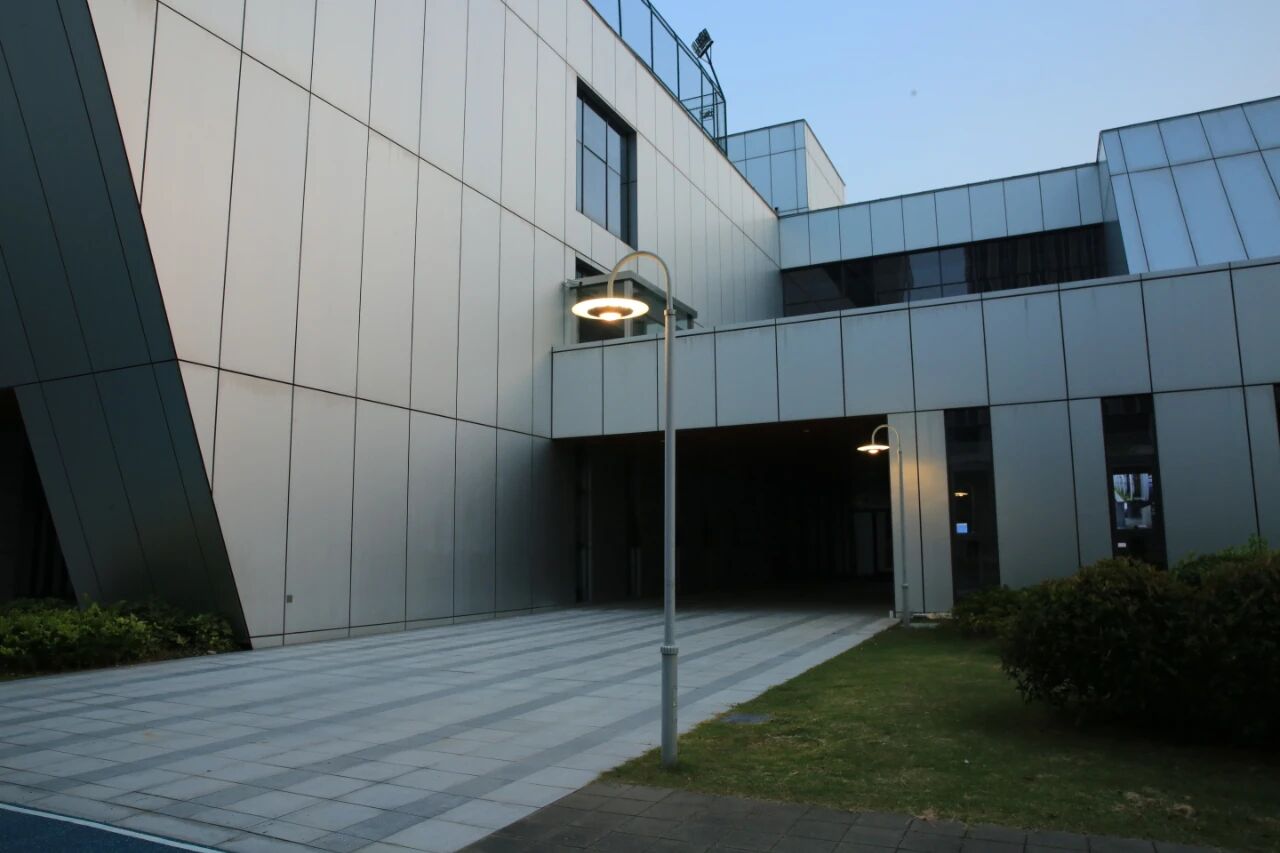 أضواء الفناء الخلفي في الهواء الطلق