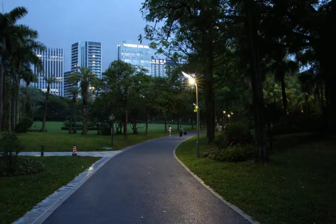 La luz baña el verde césped, las farolas acompañan el tranquilo sendero • Una experiencia inmersiva del sistema de movilidad urbana lenta | Parque Lixiang de Shenzhen